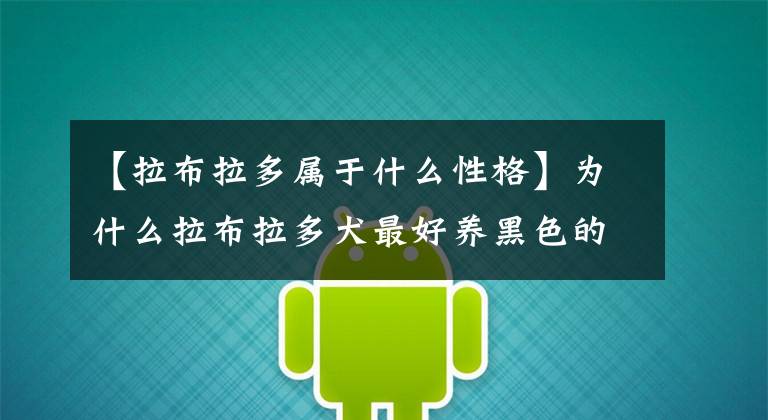 【拉布拉多属于什么性格】为什么拉布拉多犬最好养黑色的？这五个优点，其他颜色不一定有文章配图