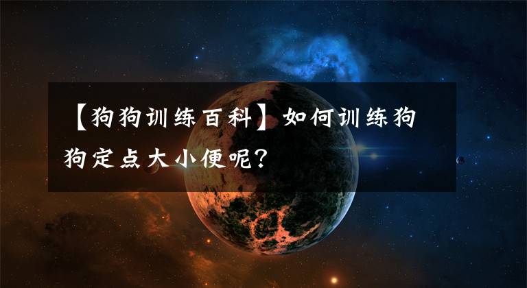 【狗狗训练百科】如何训练狗狗定点大小便呢？