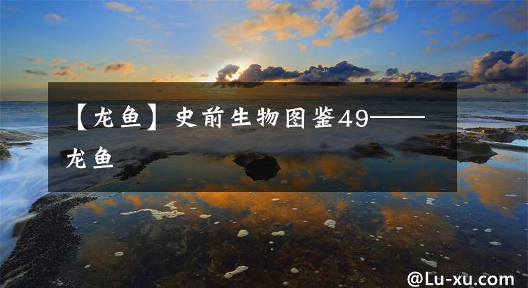 【龙鱼】史前生物图鉴49——龙鱼