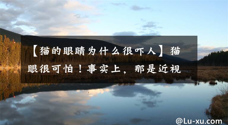 【猫的眼睛为什么很吓人】猫眼很可怕！事实上，那是近视眼文章配图