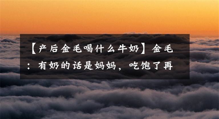 【产后金毛喝什么牛奶】金毛：有奶的话是妈妈，吃饱了再说吧！网友：找到母羊的心理阴影区域！文章配图