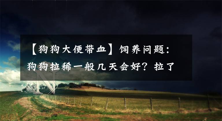 【狗狗大便带血】饲养问题：狗狗拉稀一般几天会好？拉了好几天要怎么处理？