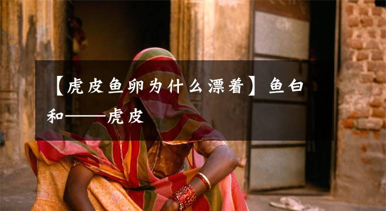 【虎皮鱼卵为什么漂着】鱼白和——虎皮文章配图