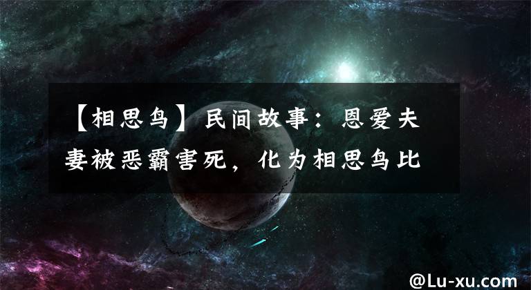 【相思鸟】民间故事：恩爱夫妻被恶霸害死，化为相思鸟比翼高飞