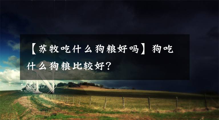 【苏牧吃什么狗粮好吗】狗吃什么狗粮比较好？文章配图