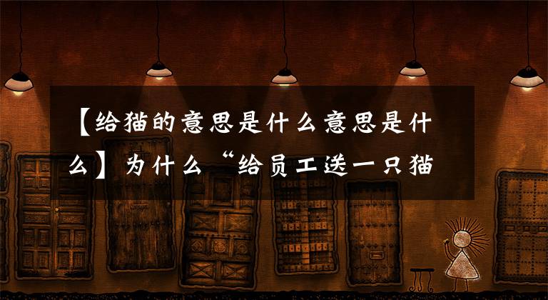 【给猫的意思是什么意思是什么】为什么“给员工送一只猫，离职还给公司”能起到稳定团队的作用？文章配图