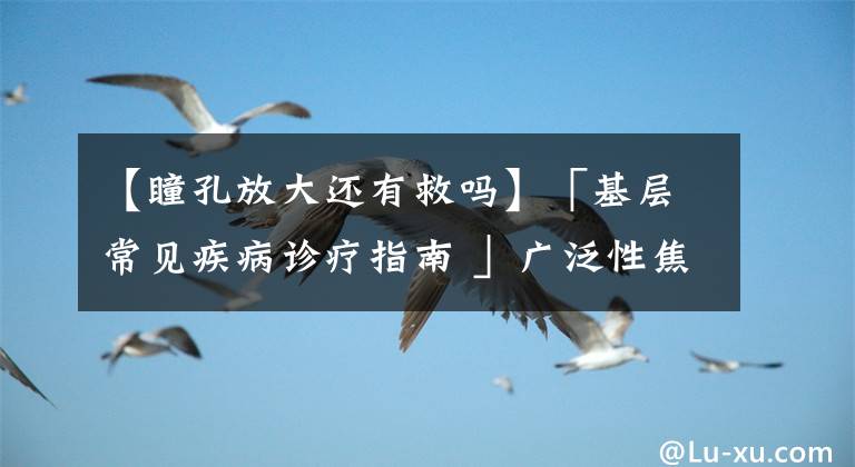 【瞳孔放大还有救吗】「基层常见疾病诊疗指南 」广泛性焦虑障碍基层诊疗指南