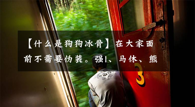 【什么是狗狗冰骨】在大家面前不需要伪装。强I、马休、熊伟勇等合集I共098号。文章配图