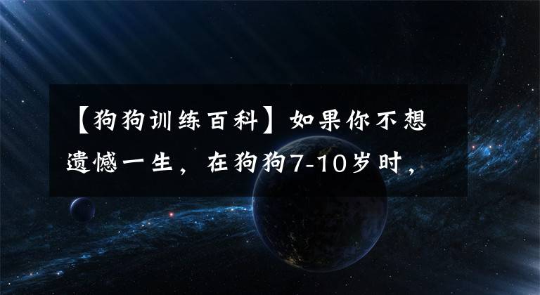 【狗狗训练百科】如果你不想遗憾一生，在狗狗7-10岁时，请把这5件事做好