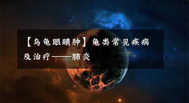 【乌龟眼睛肿】龟类常见疾病及治疗——肺炎文章配图