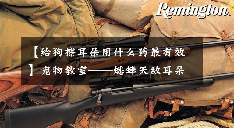 【给狗擦耳朵用什么药最有效】宠物教室——蟋蟀天敌耳朵皮肤精神文章配图