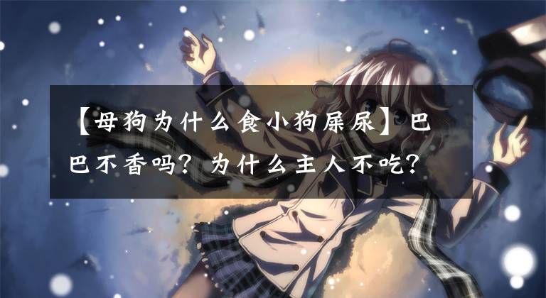 【母狗为什么食小狗屎尿】巴巴不香吗？为什么主人不吃？小狗吃排泄物的15个原因文章配图