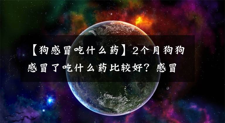 【狗感冒吃什么药】2个月狗狗感冒了吃什么药比较好？感冒症状可能是细小犬瘟吗？