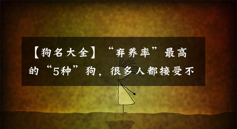 【狗名大全】“弃养率”最高的“5种”狗，很多人都接受不了