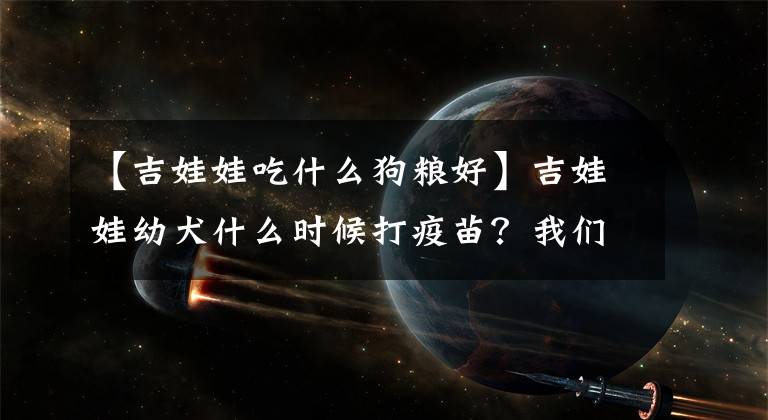 【吉娃娃吃什么狗粮好】吉娃娃幼犬什么时候打疫苗？我们应该从哪方面去关注？该注意什么