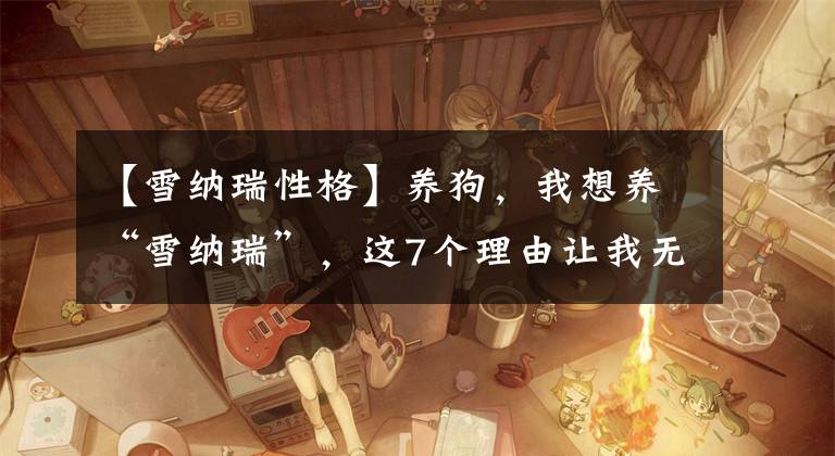 【雪纳瑞性格】养狗，我想养“雪纳瑞”，这7个理由让我无法拒绝