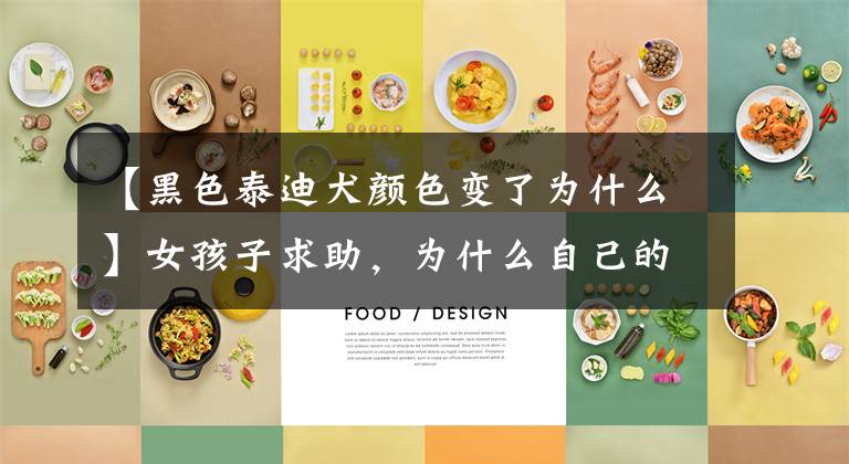 【黑色泰迪犬颜色变了为什么】女孩子求助，为什么自己的黑色泰迪变成了灰色，网友：羡慕嫉妒恨文章配图