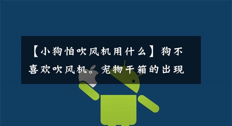 【小狗怕吹风机用什么】狗不喜欢吹风机。宠物干箱的出现是好是坏？文章配图