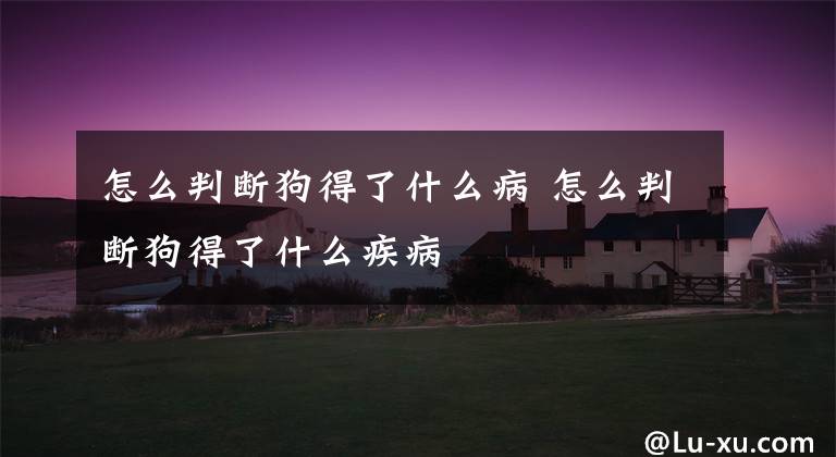 怎么判断狗得了什么病 怎么判断狗得了什么疾病文章配图