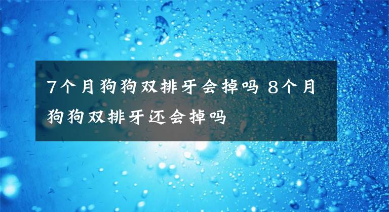 7个月狗狗双排牙会掉吗 8个月狗狗双排牙还会掉吗文章配图