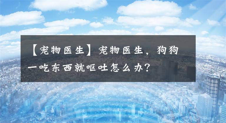 【宠物医生】宠物医生，狗狗一吃东西就呕吐怎么办？