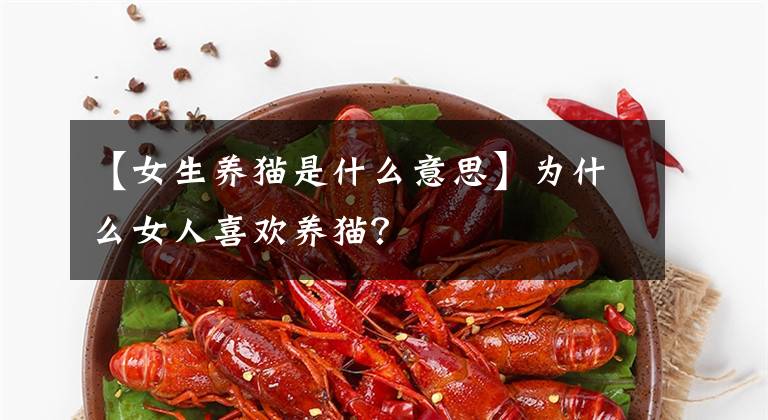 【女生养猫是什么意思】为什么女人喜欢养猫？文章配图
