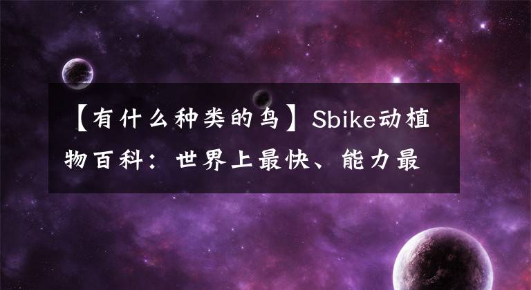 【有什么种类的鸟】Sbike动植物百科：世界上最快、能力最强的鸟类的大集合。文章配图