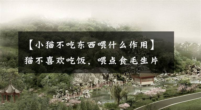 【小猫不吃东西喂什么作用】猫不喜欢吃饭，喂点食毛生片有效果吗？不要随便尝试！文章配图