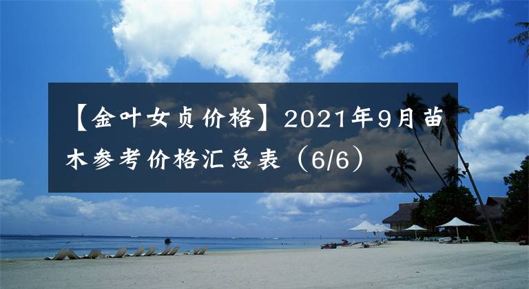 【金叶女贞价格】2021年9月苗木参考价格汇总表（6/6）