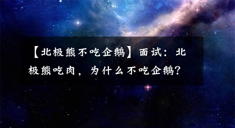 【北极熊不吃企鹅】面试：北极熊吃肉，为什么不吃企鹅？南京硕士生直说：问题太简单