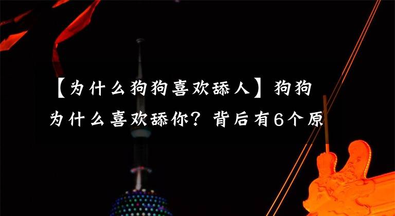 【为什么狗狗喜欢舔人】狗狗为什么喜欢舔你？背后有6个原因，抱抱它吧