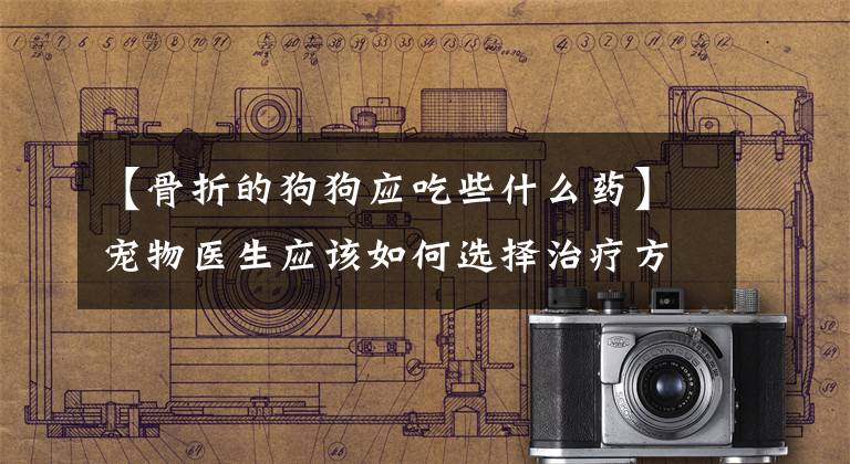 【骨折的狗狗应吃些什么药】宠物医生应该如何选择治疗方案，以便分析狗狗不同部位的骨折？(莎士比亚，宠物，宠物，宠物)。文章配图