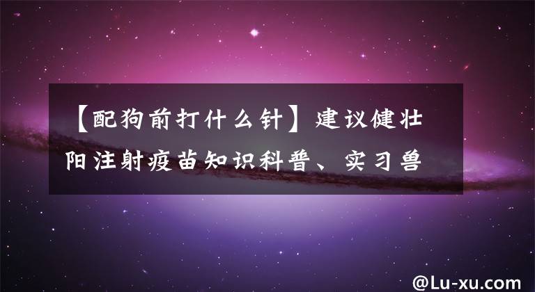 【配狗前打什么针】建议健壮阳注射疫苗知识科普、实习兽医、医生助手、宠主们关注所长。