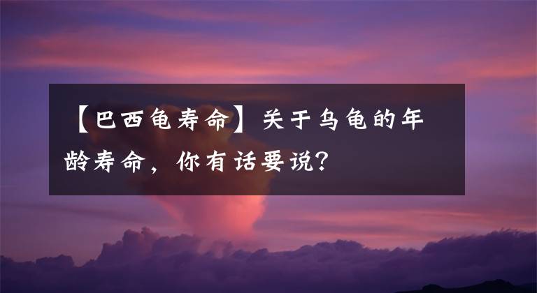 【巴西龟寿命】关于乌龟的年龄寿命，你有话要说？