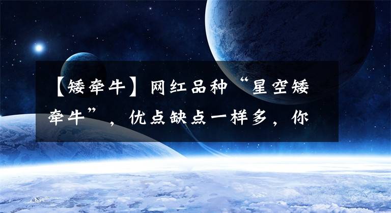 【矮牵牛】网红品种“星空矮牵牛”，优点缺点一样多，你养过吗