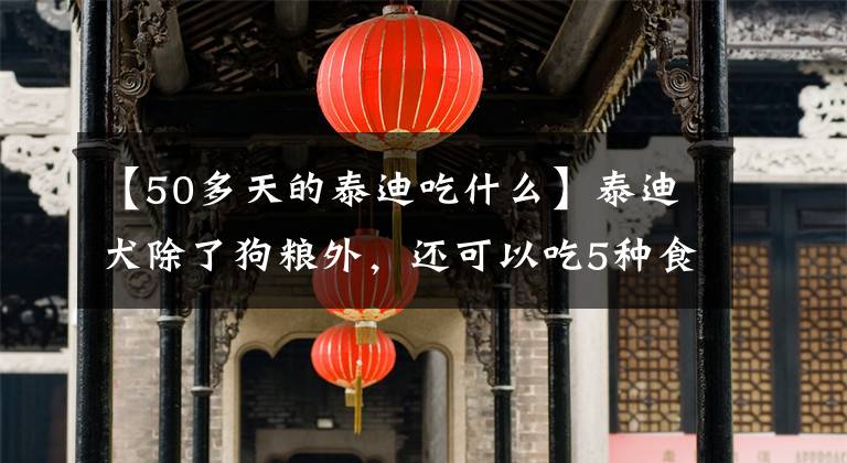 【50多天的泰迪吃什么】泰迪犬除了狗粮外，还可以吃5种食物，不仅健康，还可以美貌！文章配图