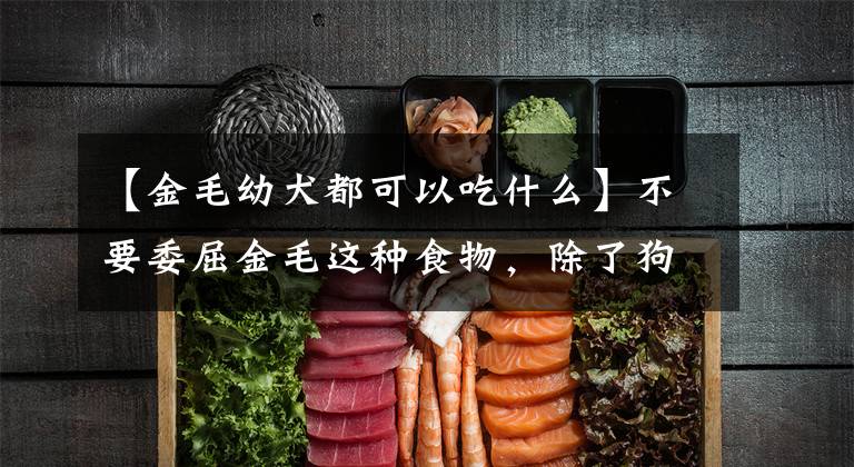 【金毛幼犬都可以吃什么】不要委屈金毛这种食物，除了狗粮，这7种食物也可以吃。文章配图