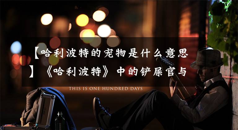【哈利波特的宠物是什么意思】《哈利波特》中的铲屎官与宠物，不仅是“主仆”，更是朋友和战友文章配图