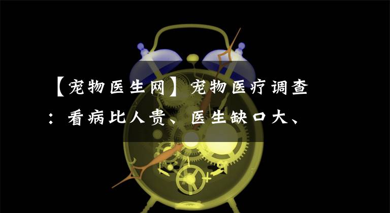 【宠物医生网】宠物医疗调查：看病比人贵、医生缺口大、专业度待提高