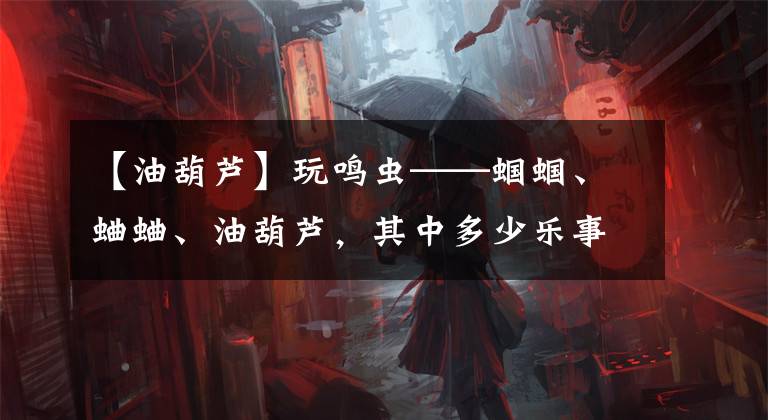 【油葫芦】玩鸣虫——蝈蝈、蛐蛐、油葫芦，其中多少乐事