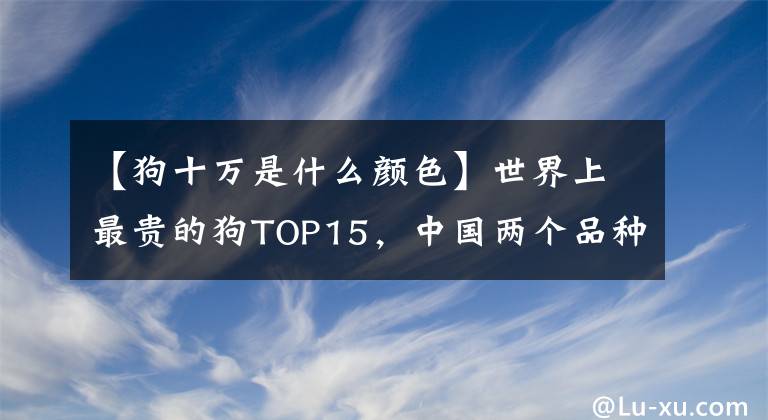 【狗十万是什么颜色】世界上最贵的狗TOP15，中国两个品种上榜藏獒曾千万元创世界纪录文章配图