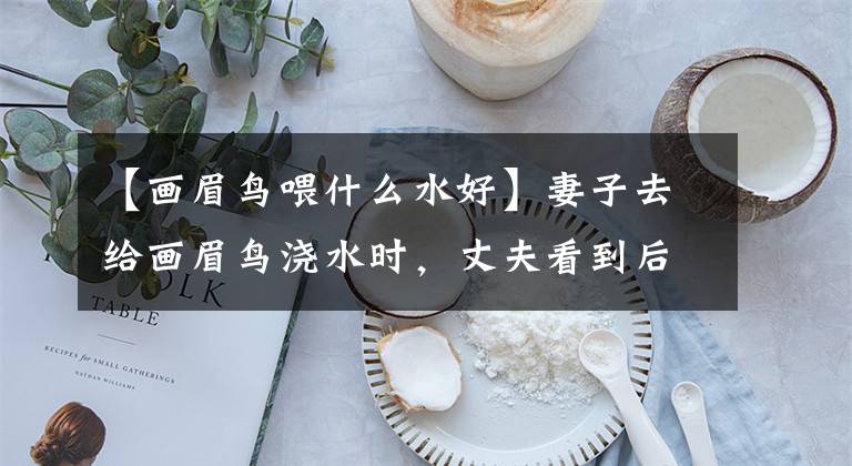 【画眉鸟喂什么水好】妻子去给画眉鸟浇水时，丈夫看到后完全崩溃了。文章配图