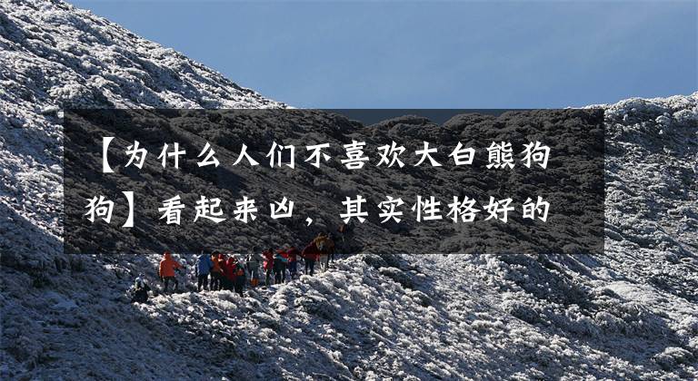 【为什么人们不喜欢大白熊狗狗】看起来凶，其实性格好的3种狗，养的人不太喜欢文章配图