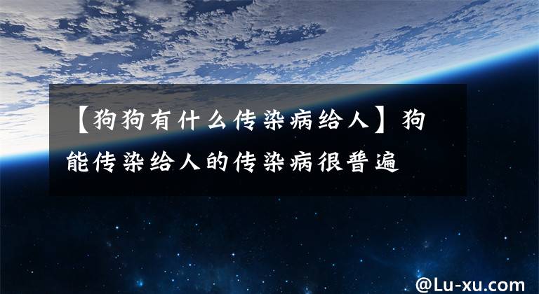 【狗狗有什么传染病给人】狗能传染给人的传染病很普遍文章配图