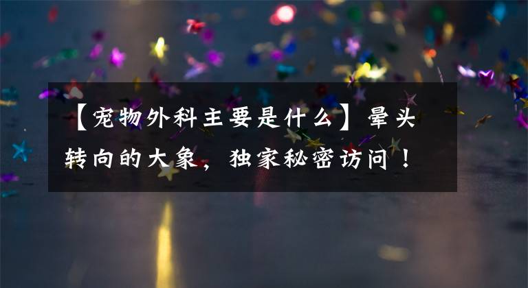 【宠物外科主要是什么】晕头转向的大象，独家秘密访问！揭露宠物医院的潜规则：治狗比人贵，药品乱收费！文章配图