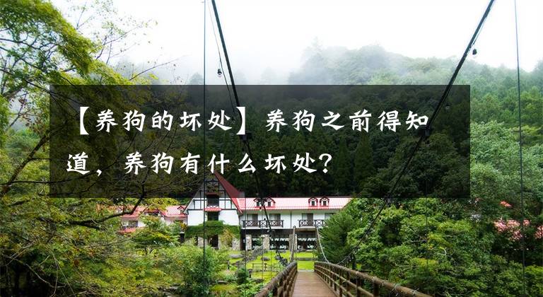 【养狗的坏处】养狗之前得知道，养狗有什么坏处？