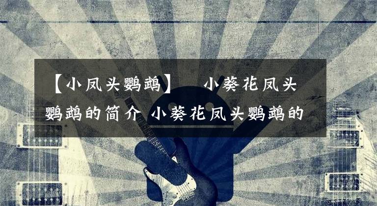 【小凤头鹦鹉】​小葵花凤头鹦鹉的简介 小葵花凤头鹦鹉的产地