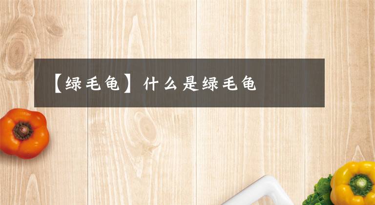 【绿毛龟】什么是绿毛龟