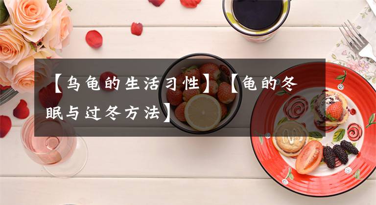【乌龟的生活习性】【龟的冬眠与过冬方法】