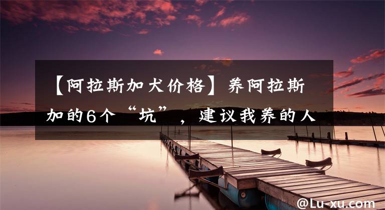 【阿拉斯加犬价格】养阿拉斯加的6个“坑”，建议我养的人站出来